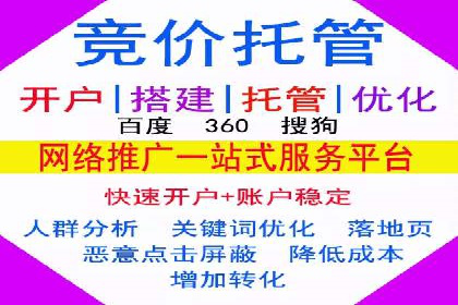 竞价托管成功案例：提升广告投放效果